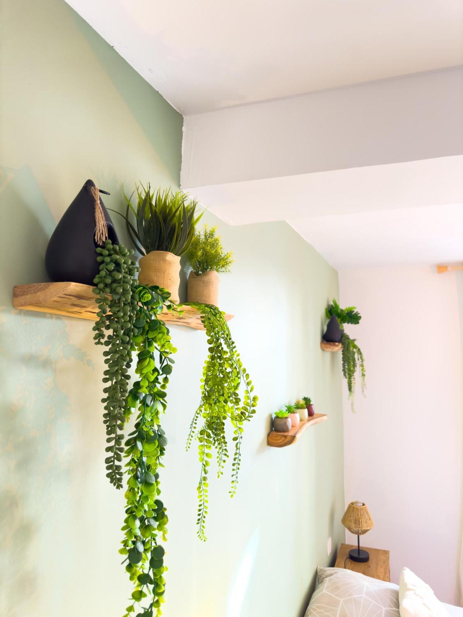 Le Patio ※ Carnot Apartment Каркасон Екстериор снимка